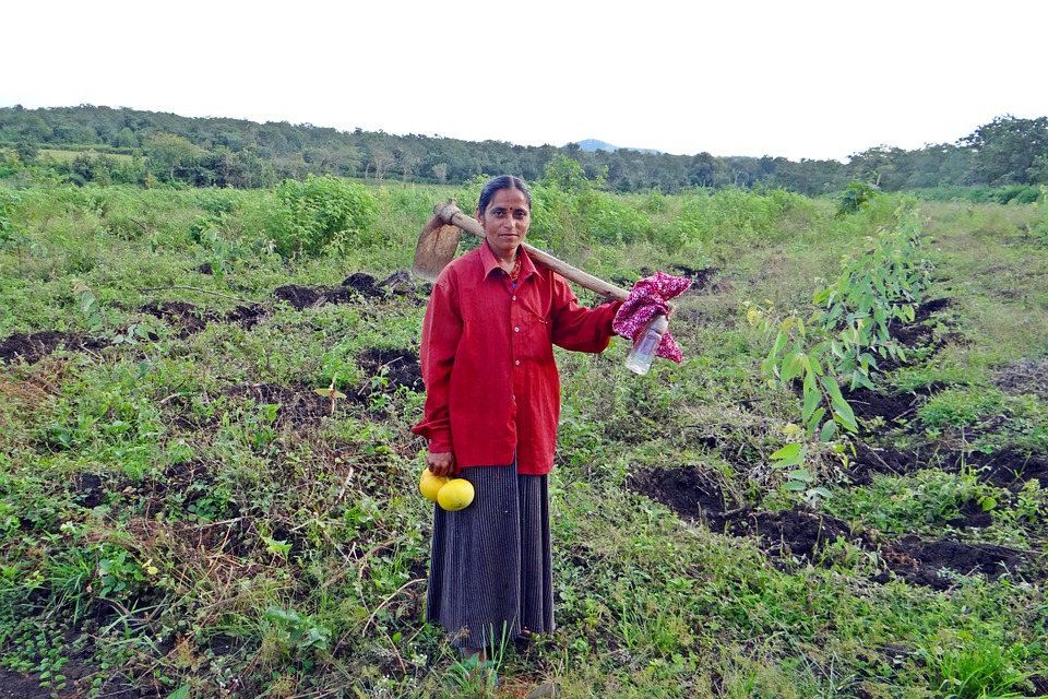 india farmers