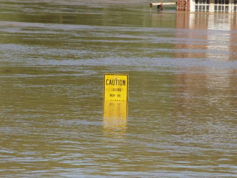 flooding in India and Texas