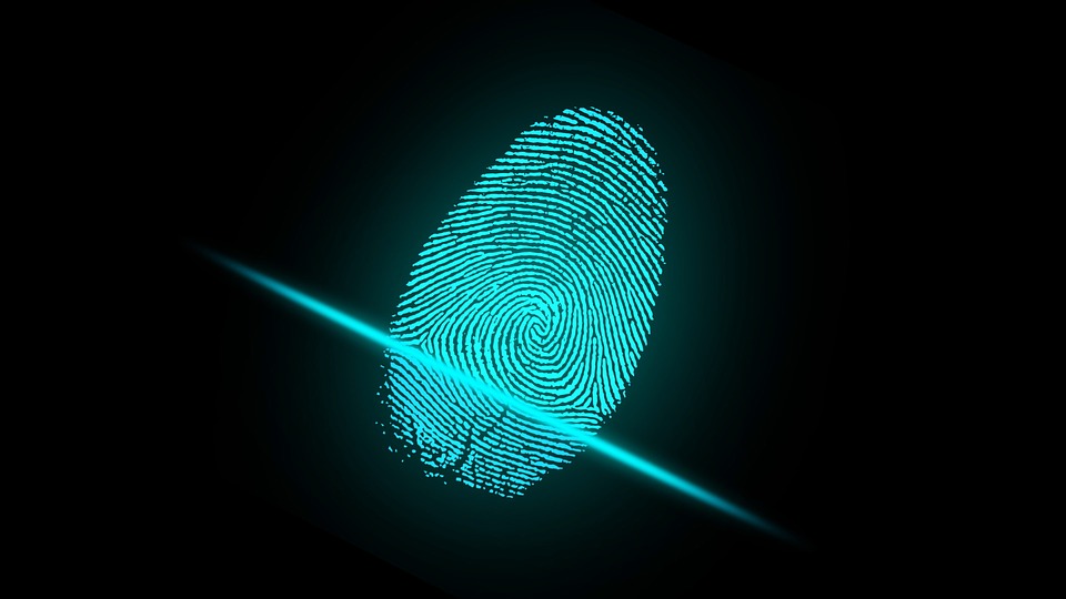 finger print, identity