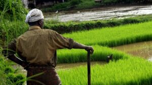 farmer agtech agri